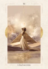 card-13