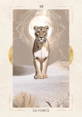 card-15