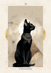 card-19