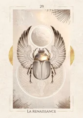 card-17